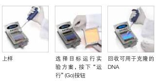 E-Gel预制琼脂糖凝胶电泳系统 varis厂家报价/价格/性能参数 Invitrogen资料代理商 - Life Technologies-生物在线 Lab-on-Web