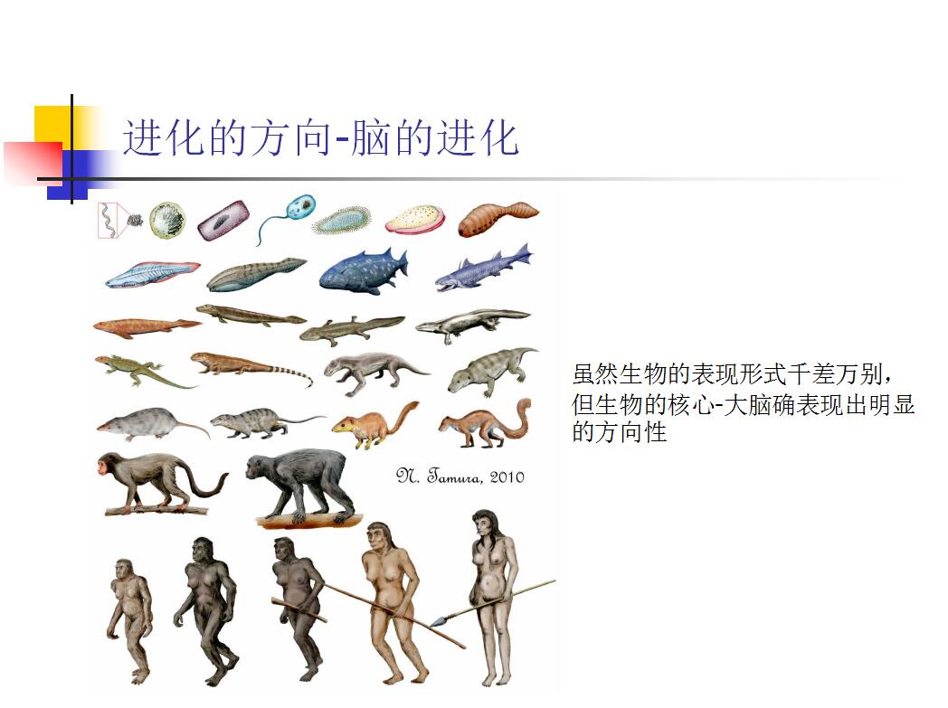 科学网-人工智能伦理无法回避的5个问题,生物进化是否有方向是关键-刘锋 .