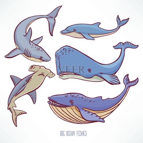 大海洋生物 深海巨兽的奇妙世界